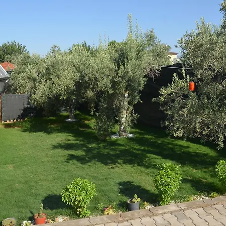 Egem
